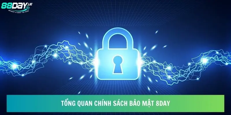 Tổng quan chính sách bảo mật 8day