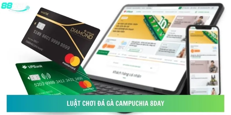 Luật chơi đá gà Campuchia 8day