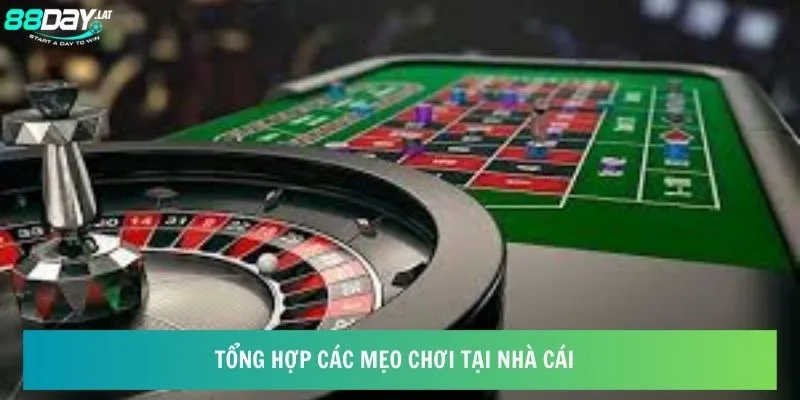 Hướng Dẫn 8day - Chinh Phục Sân Chơi Dành Riêng Cho Bạn 5 Tổng hợp các mẹo chơi tại nhà cái