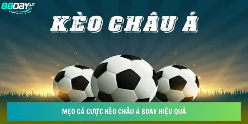 Mẹo cá cược kèo châu Á 8day hiệu quả 