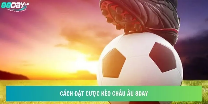 Cách đặt cược kèo châu Âu 