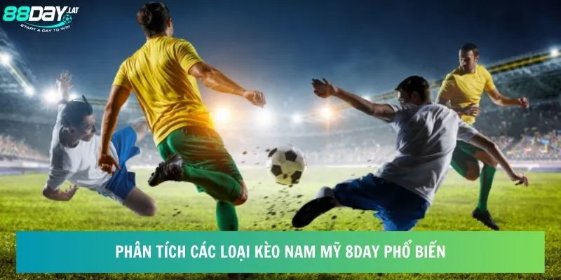 Phân tích các loại kèo Nam Mỹ 8day phổ biến